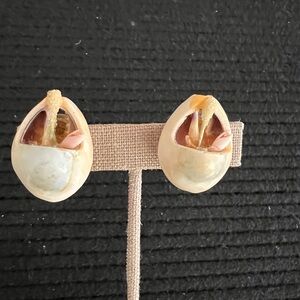 Vintage Cowrie Shell screw back Earrings unique one of a kind